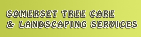 Somerset Tree Care