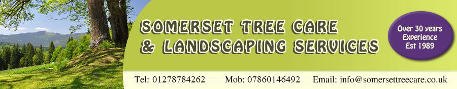 Somerset Tree Care and Landscaping Services
