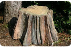 Tree Stump