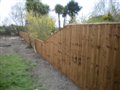 Fencing Somerset